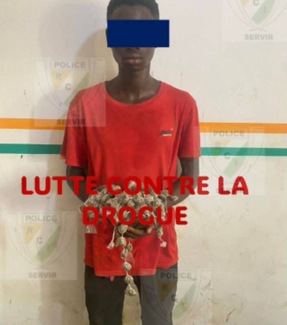cn-te-d-a-ivoire-guibnoroua-interpellation-d-a-un-individu-et-saisie-de-189-boulettes-de-cannabis-nc-guezem