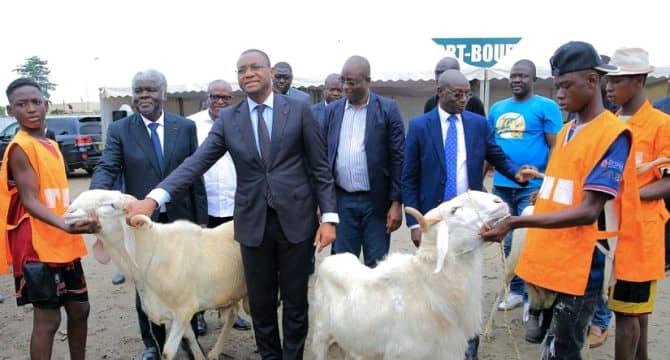 tabaski-2025-la-cote-divoire-muscle-sa-souverainete-animale-face-a-la-crise-sahelienne