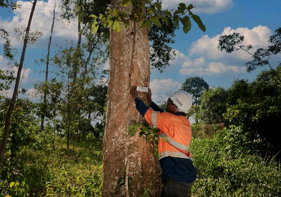Côte d’Ivoire : Endeavour Mining injecte 325,6 milliards FCFA dans plusieurs secteurs et crée 4 900 emplois