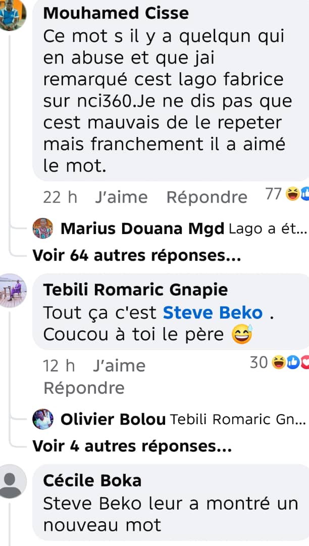 Image 13 de l'article